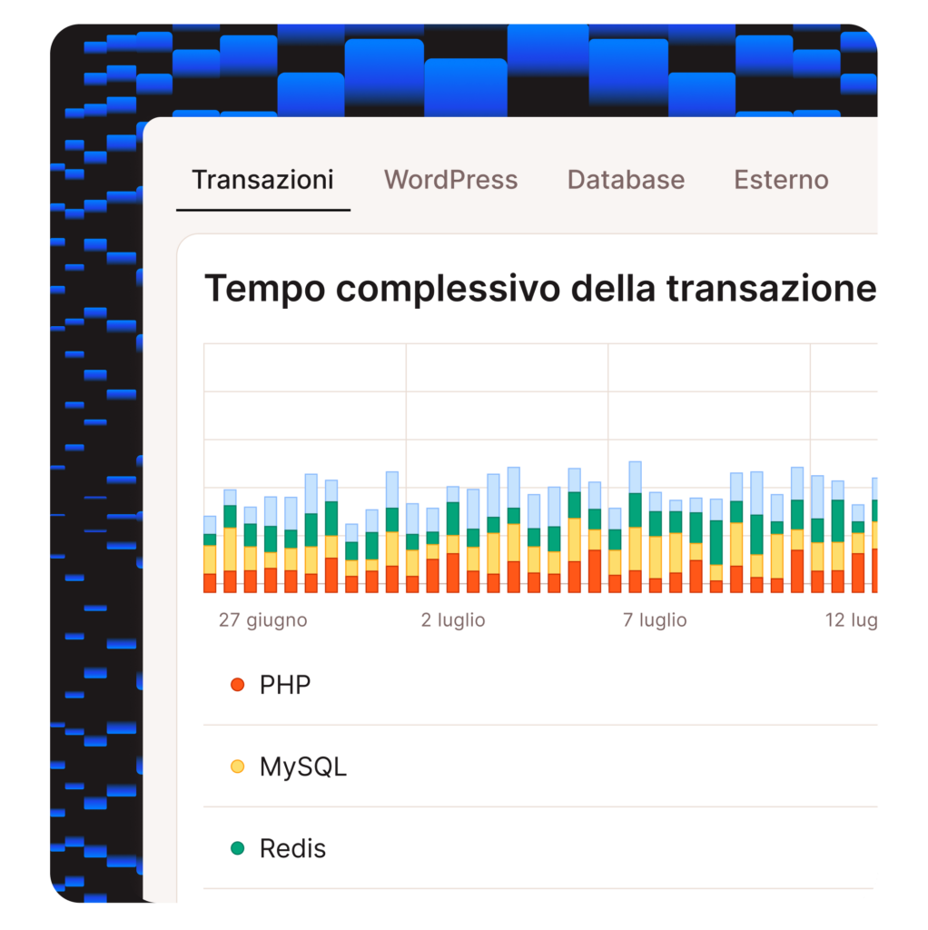 Schermata delle transazioni nello strumento MyKinsta APM